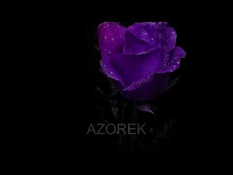 sadkvbvs x rabit x nomy - poranione serca  (BASS BOOSTED)