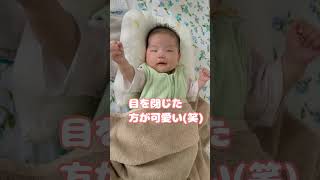 うちのこ白眼でねる #shorts