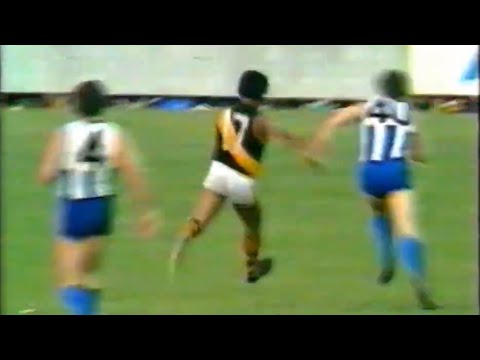 1982 VFL Round 22 - North Melbourne vs Richmond - Highlights