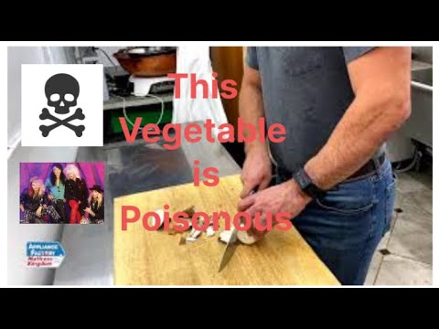 Preparing Yuca with Chef (IT'S POISONOUS!)