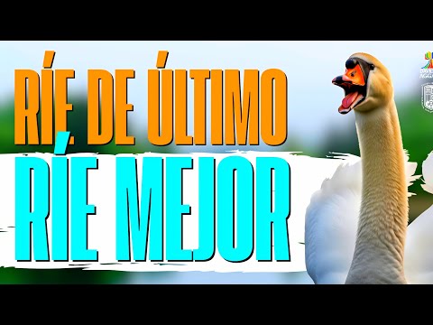 He Who Laughs Last Laughs Best