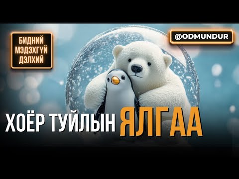 Хоёр туйлын ялгаа - БИДНИЙ МЭДЭХГҮЙ ДЭЛХИЙ