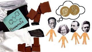 Can Chocolate Make You Smarter?