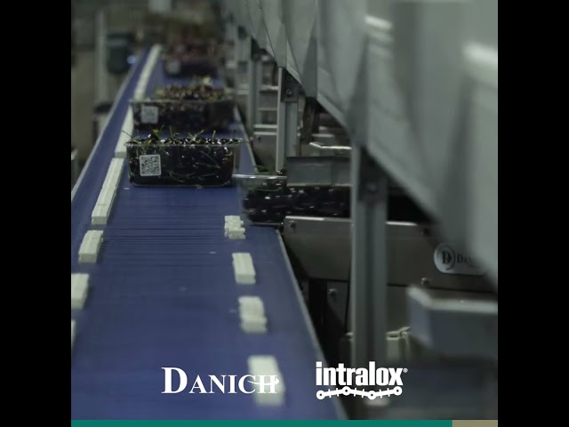 imagen-video-thelogisticsworld