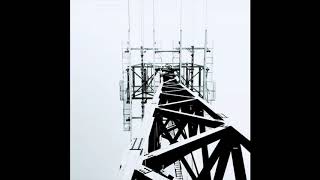 Revolting Cocks - Animal Nation (PREVIOUSLY UNRELEASED) - Industrial Accident Soundtrack