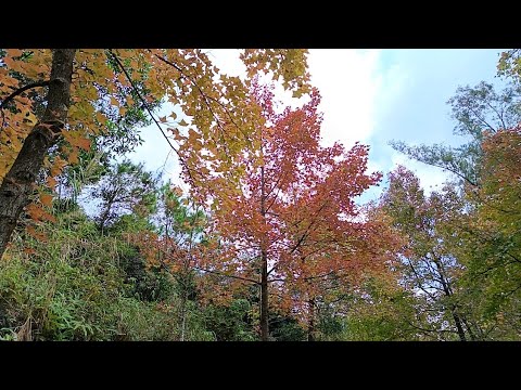 It is often the small steps, not the giant leaps, that bring about the most lasting changes.