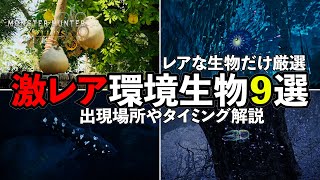 【MHWilds】本当にレアな環境生物9種類まとめ　出現場所やタイミング、条件解説【タイリンハナミアゲ】【モンハンワイルズ】【MHWs】【勲章コンプ】【激レア環境生物】【虹色ドスヘラクレス】
