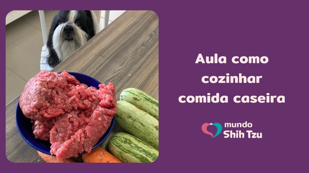 Como cozinhar comida natural caseira para cachorro