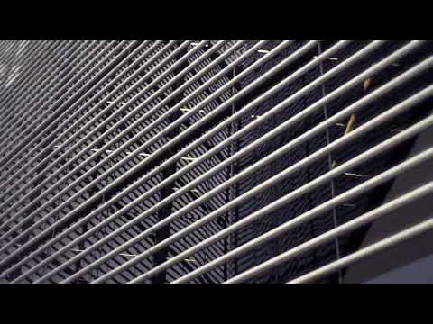 Looptroop Rockers feat Gnucci Banana - Do