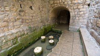 Feast of Tabernacles/Sukkot: Jesus and the Water of Life