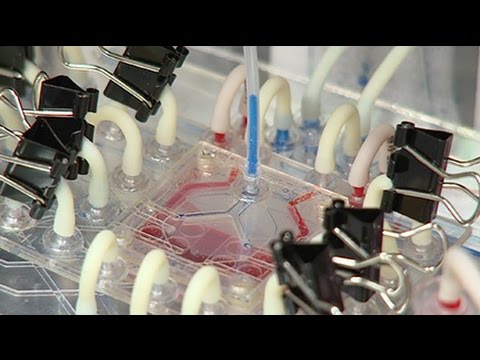 The Mechanism of Action of Artificial Lungs