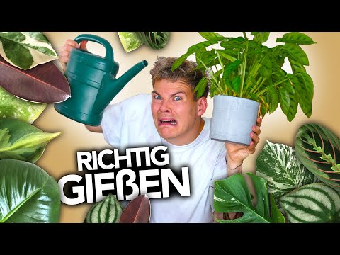 PFLANZEN GIEßEN - So geht's richtig | Joey's Jungle Plants