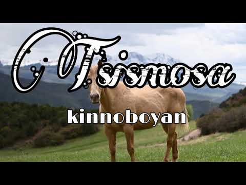 Tsismosa( Igorot Song) - Kinoboyan