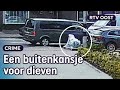 Wat staat daar voor iets moois langs de weg in Zenderen? | RTV Oost