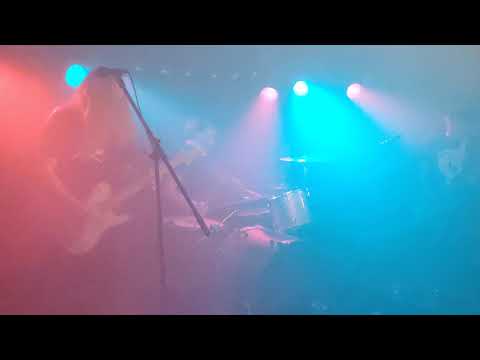 Luminous Bodies - Stay Dead