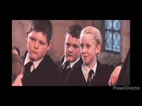 Fem & Harri y Draco treat you better