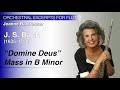 Bach - “Domine Deus” from Mass in B Minor | Baxtresser | Orchestral Excerpts for Flute