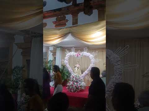 festejos de Nossa Senhora do Carmo piracuruca Piauí...