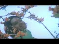 16 Vayathinile Senthoora Poove Love Accepted Version