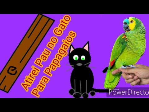 Atirei pau no gato para papagaio