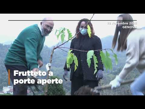 Anteprima video