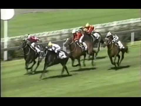 Classic Flag Dingaans