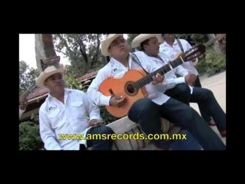 Los Armadillos de la Sierra -  El Otro Tonto (Video Oficial)