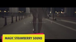 Lucite Tokki / 루싸이트 토끼 - 'WALLFLOWER' Official Music Video