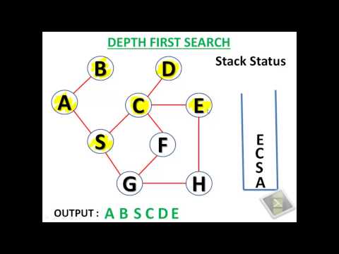 Depth First Search Algorithm