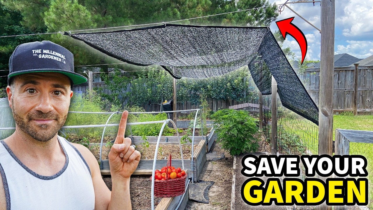 HEAT WAVE Nightmare: Save Your Garden NOW or You'll Be Sorry!