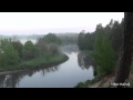 Рассвет туман на реке лес птицы поют звуки природы музыка для сна релакс медитация 
