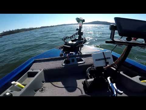 Minnkota Terrova 12v