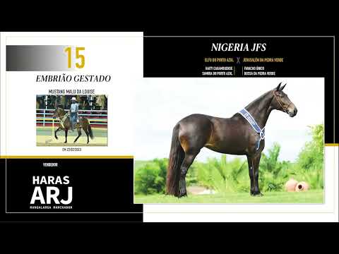 Nigeria JFS (Embriçao gestado por Mustang Malu da Louise