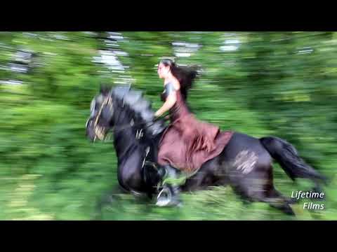 Foto Event am Rhein - sb-fotografien