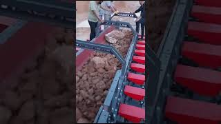 Venta de Kensan WOBBLER WB alimentador vibratorio - Imagen 5 | Machineryline MX Kensan WOBBLER WB alimentador vibratorio nueva | Imagen 5 - Machineryline