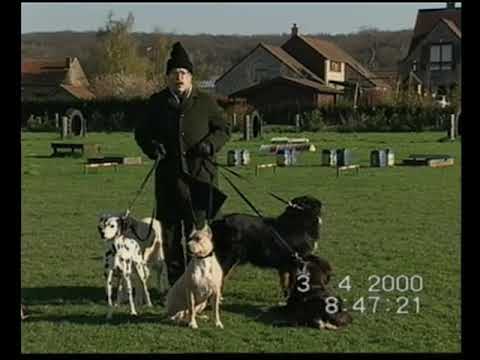 In De Gloria S01E09 - De Bruyne Henri - Honden
