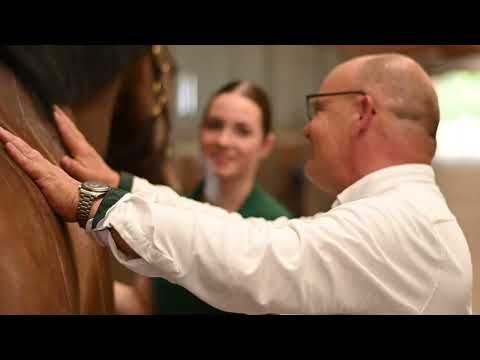 UNE SELLE POUR VOTRE CHEVAL ET VOUS.