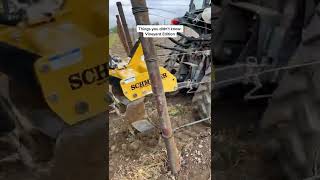 THINGS YOU DIDN&#39;T KNOW: VINEYARD EDITION 🍇✨🍷🤩