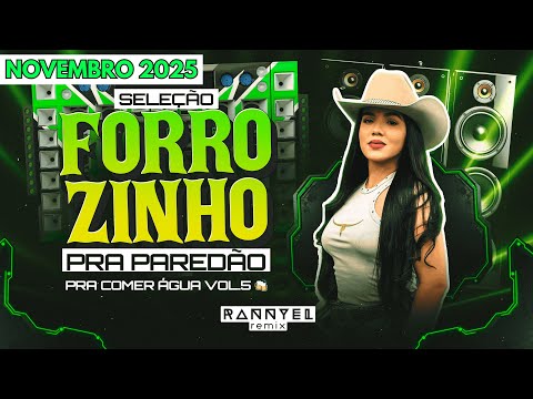 SELEÇÃO FORROZINHO PRA PAREDÃO 🪗 - SÓ AS TOPS 5.0 💥 - NOVEMBRO 2025 🆕 | Rannyel Remix 🔥