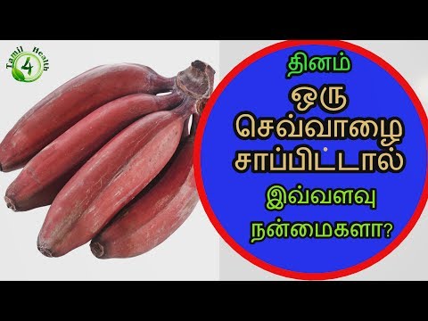 download lagu mp3 mp4 Sevvalai, download lagu Sevvalai gratis, unduh video klip Sevvalai