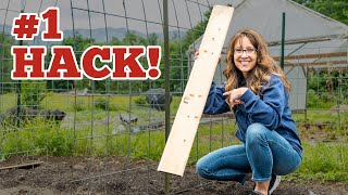 #1 Secret Hack to Seed Germination for More Food with Less Water!