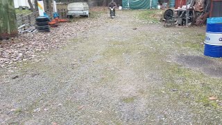 Скутер Monark 2 vxl | Изображение 4 - Autoline