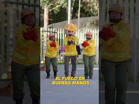 𝗨𝗻𝗶𝗱𝗼𝘀 𝗰𝗼𝗻𝘁𝗿𝗮 𝗹𝗼𝘀 𝗶𝗻𝗰𝗲𝗻𝗱𝗶𝗼𝘀 𝗳𝗼𝗿𝗲𝘀𝘁𝗮𝗹𝗲𝘀 𝟮𝟬𝟮𝟱