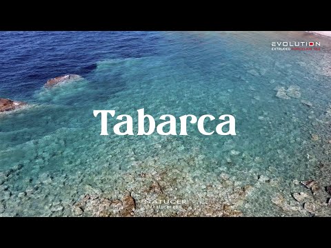 Imagen representativa video