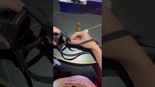 Chastity Cage With Harness