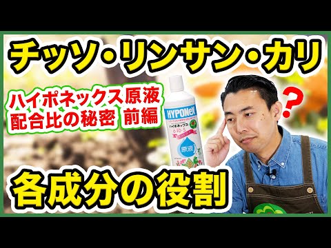 園芸 NPK、それはどういう意味ですか?