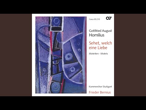 Homilius: Ob jemand sündiget