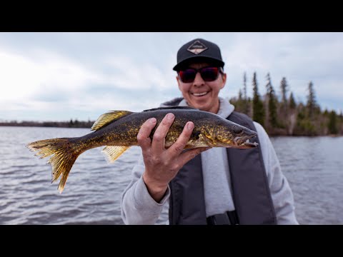 Fishing Spring Walleye &amp; pike (shallow muddy water)