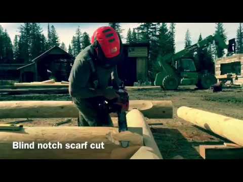 Saddle Notch Log Building course student cuts #logcabin #buildacabin #logbuilding
