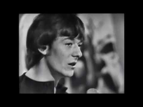 Look Through Any Window - The Hollies